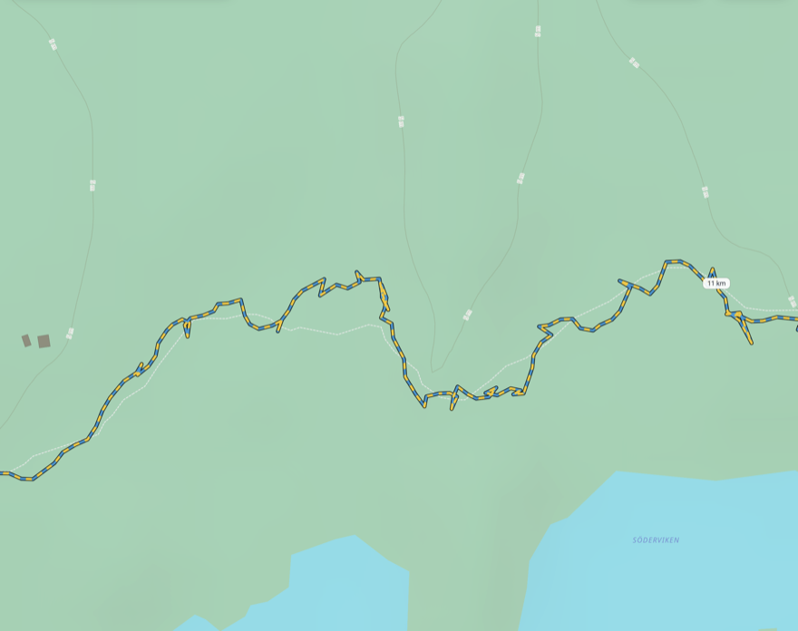 The old trail line on Lidö: a jagged, zigzagging GPS track that strays from the dashed mapped path.